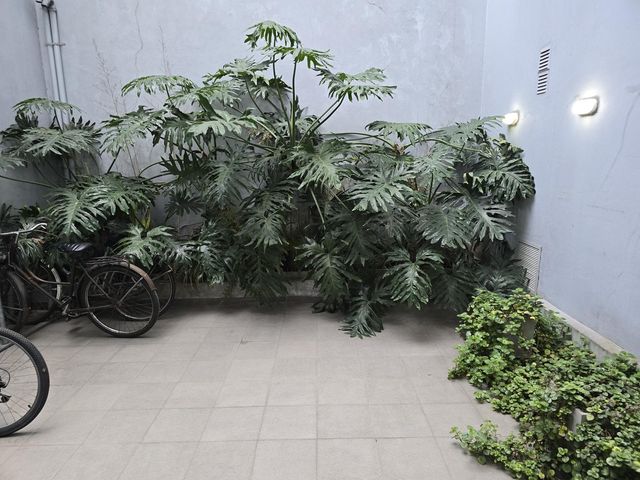 place photo 29