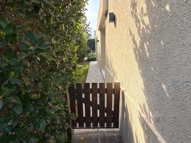 place photo 62