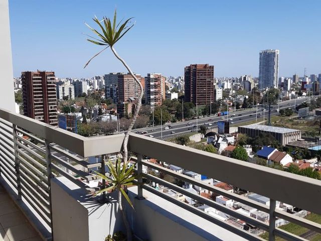 place photo 20
