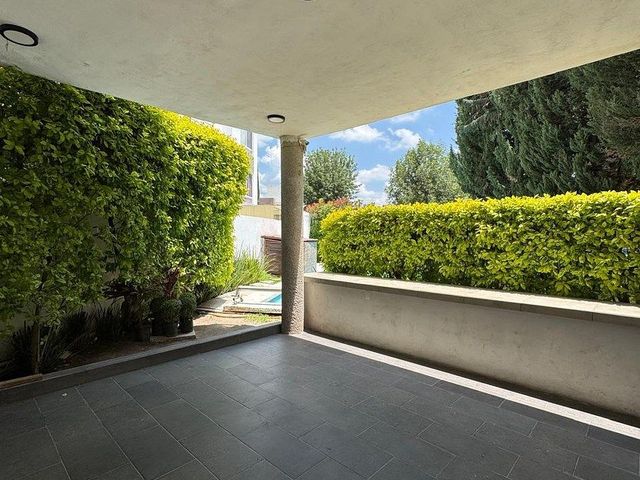 place photo 44