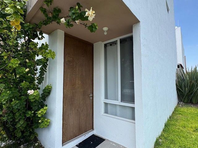 place photo 38