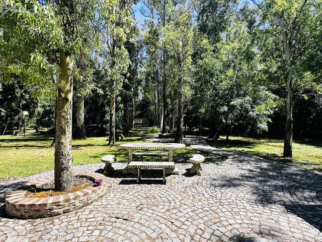 place photo 74