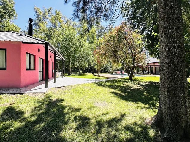 place photo 87