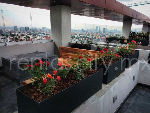 place photo 42