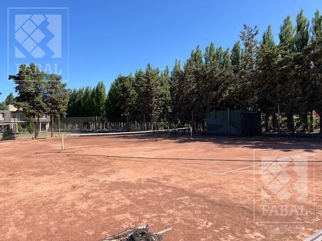 place photo 37