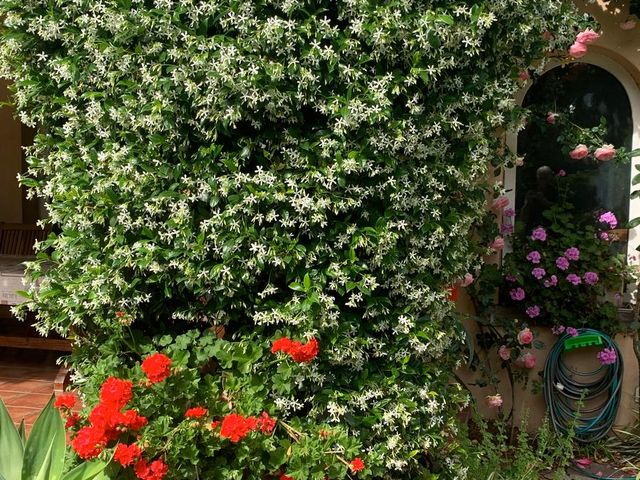 place photo 64