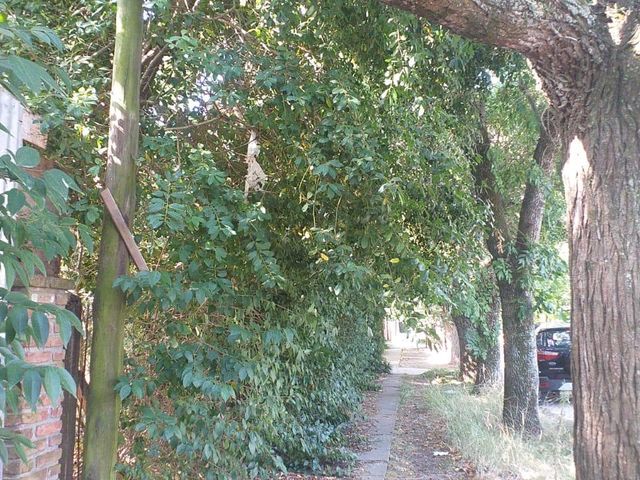 place photo 36