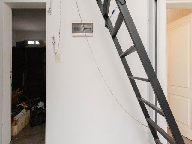 place photo 42