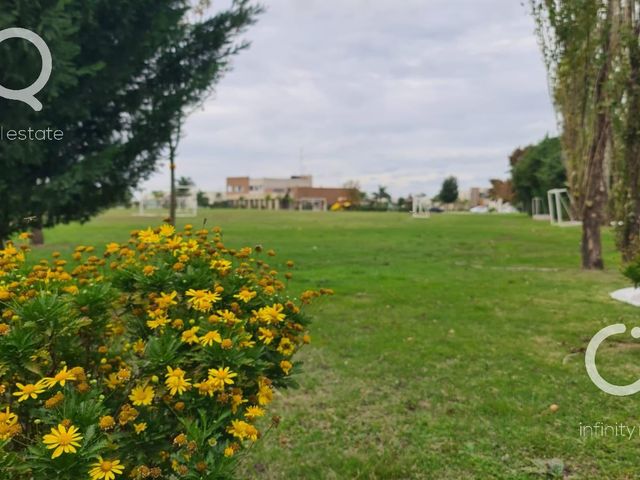 place photo 38