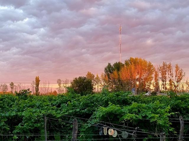 place photo 87