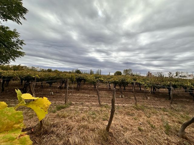 place photo 43