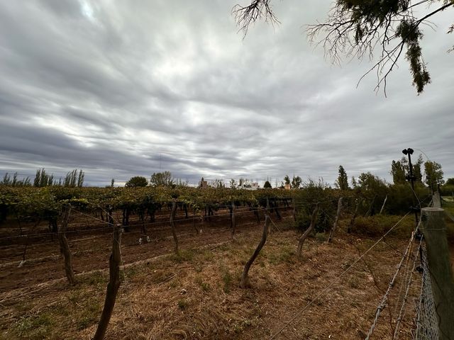 place photo 44