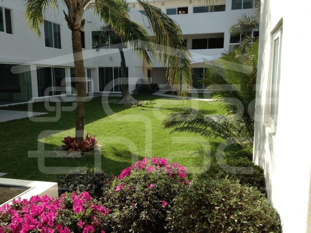place photo 31