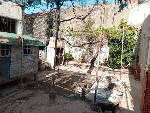 place photo 23
