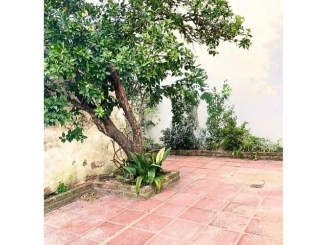 place photo 29