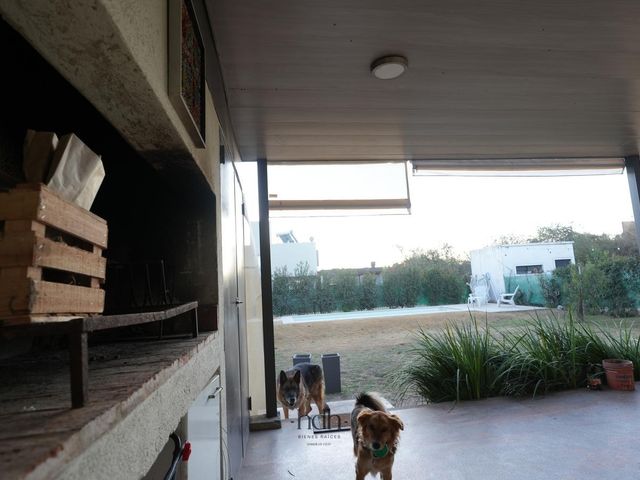 place photo 52