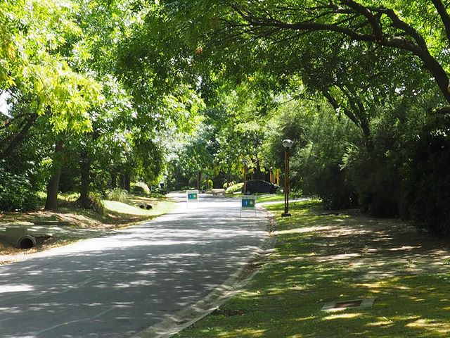place photo 39