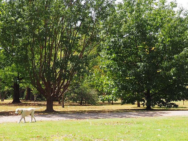 place photo 47