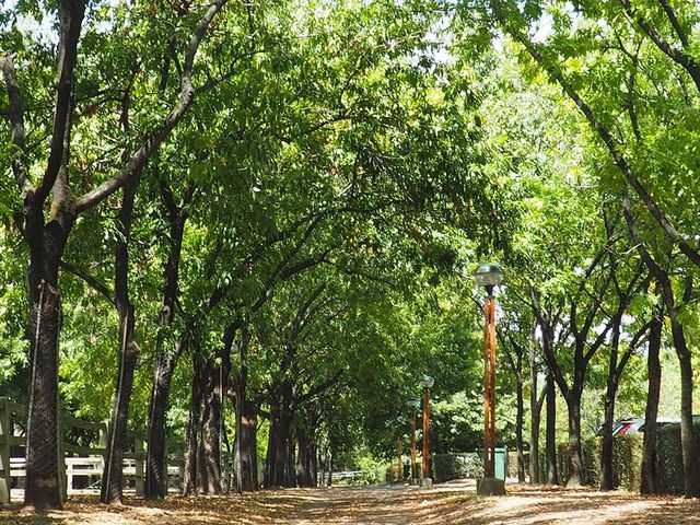 place photo 46