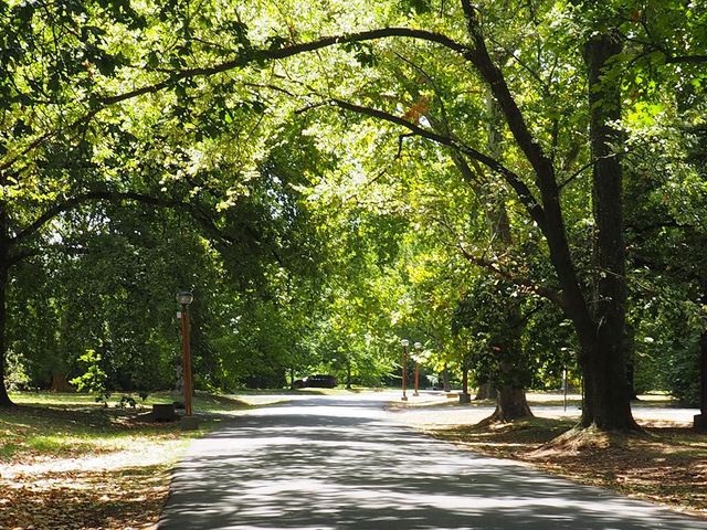 place photo 41