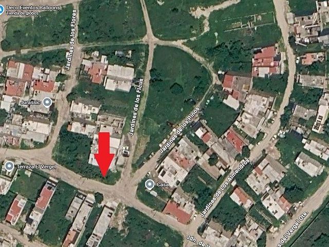 place photo 1