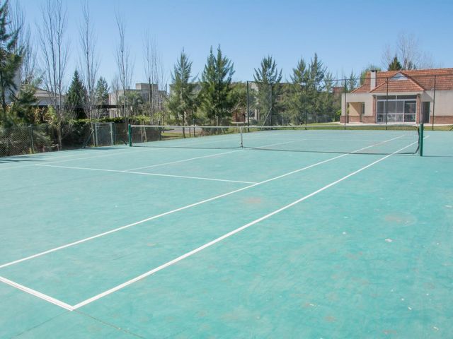 place photo 59