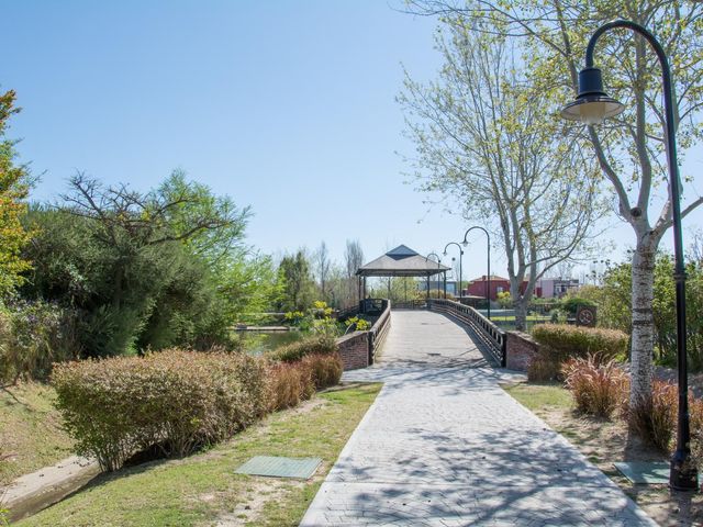 place photo 50