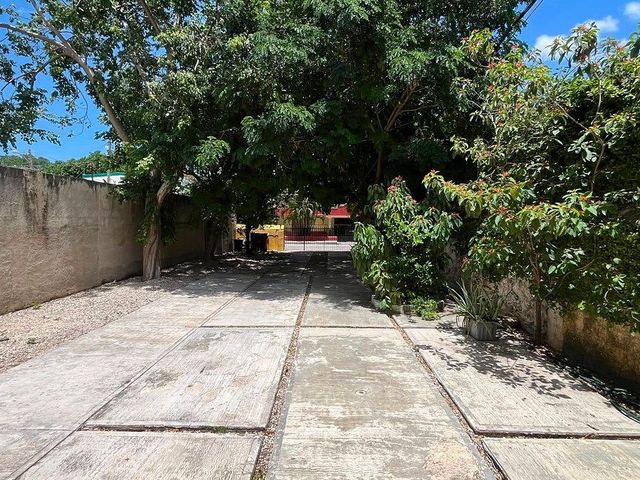 place photo 16