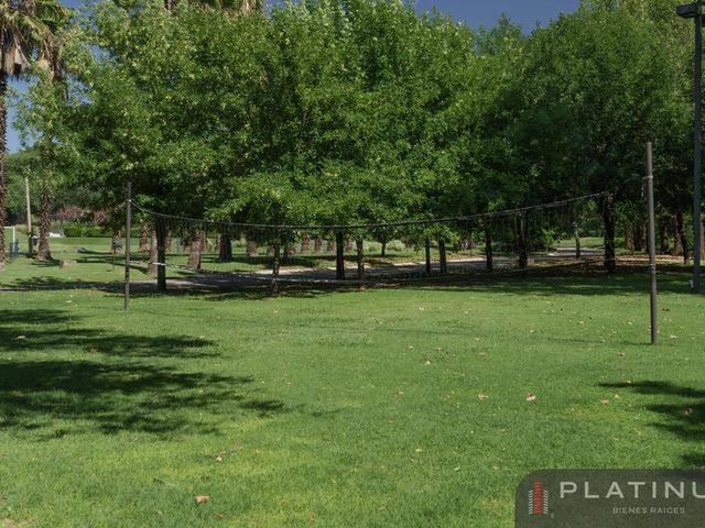place photo 54