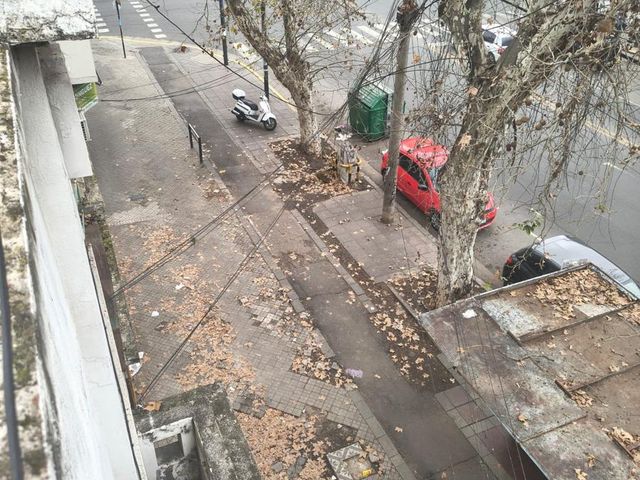 place photo 16