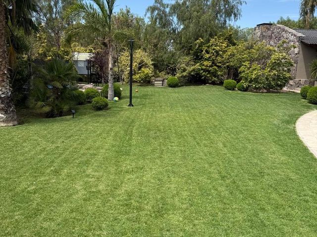 place photo 61