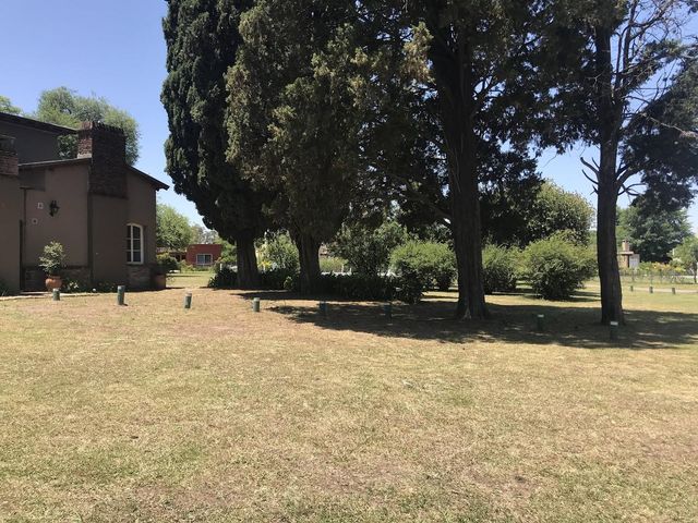 place photo 24