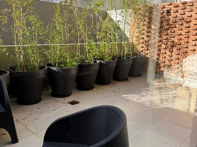 place photo 31