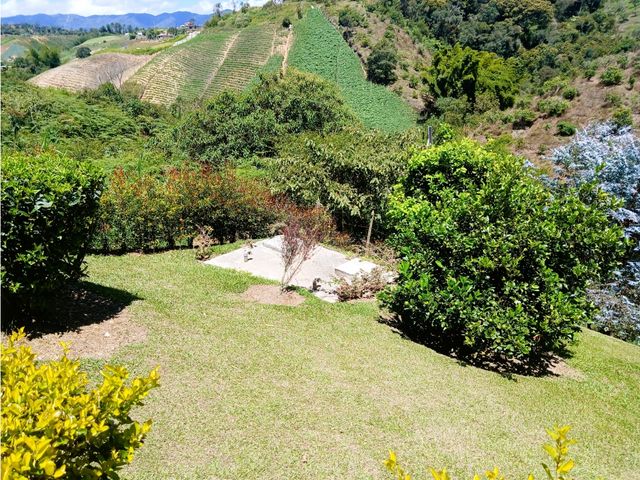 place photo 46