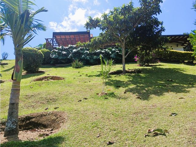 place photo 40