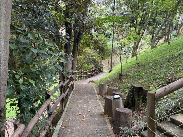 place photo 37