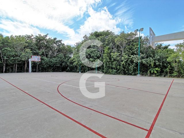 place photo 47
