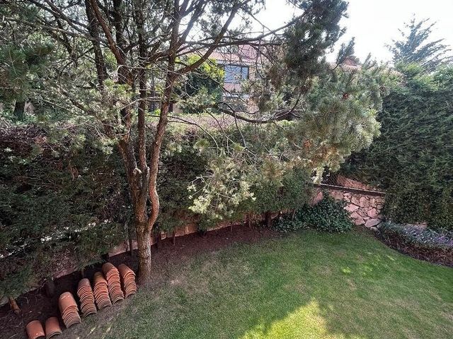 place photo 46