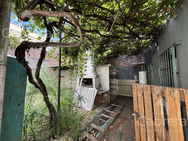 place photo 36