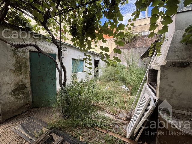 place photo 37