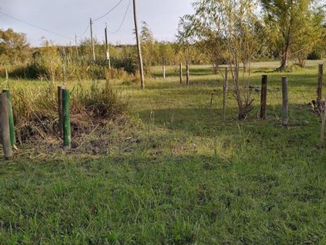 place photo 37