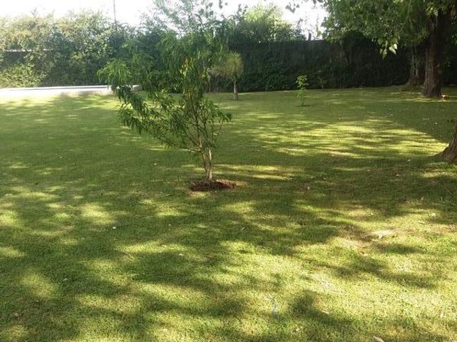 place photo 38