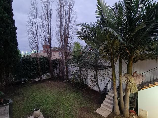 place photo 46