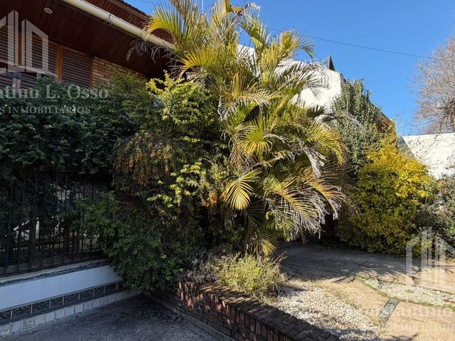 place photo 54