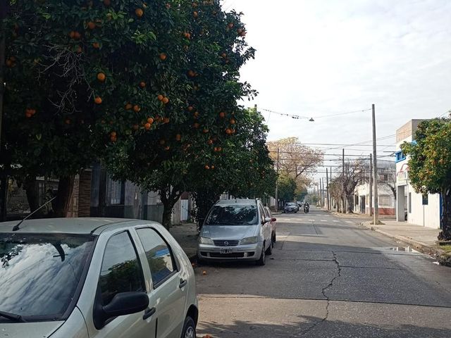 place photo 21