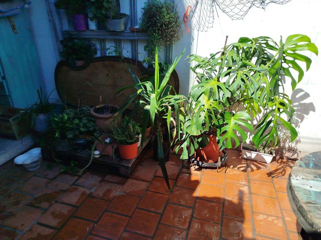 place photo 11
