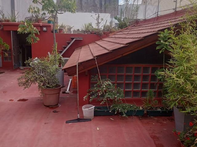 place photo 43