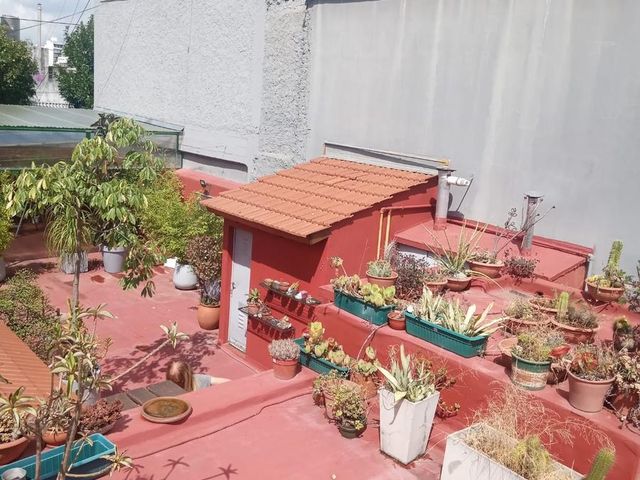 place photo 38