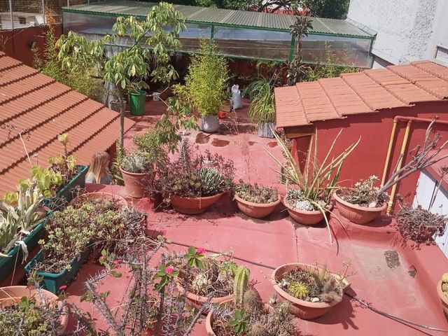 place photo 34