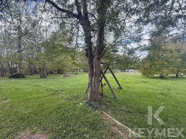 place photo 44